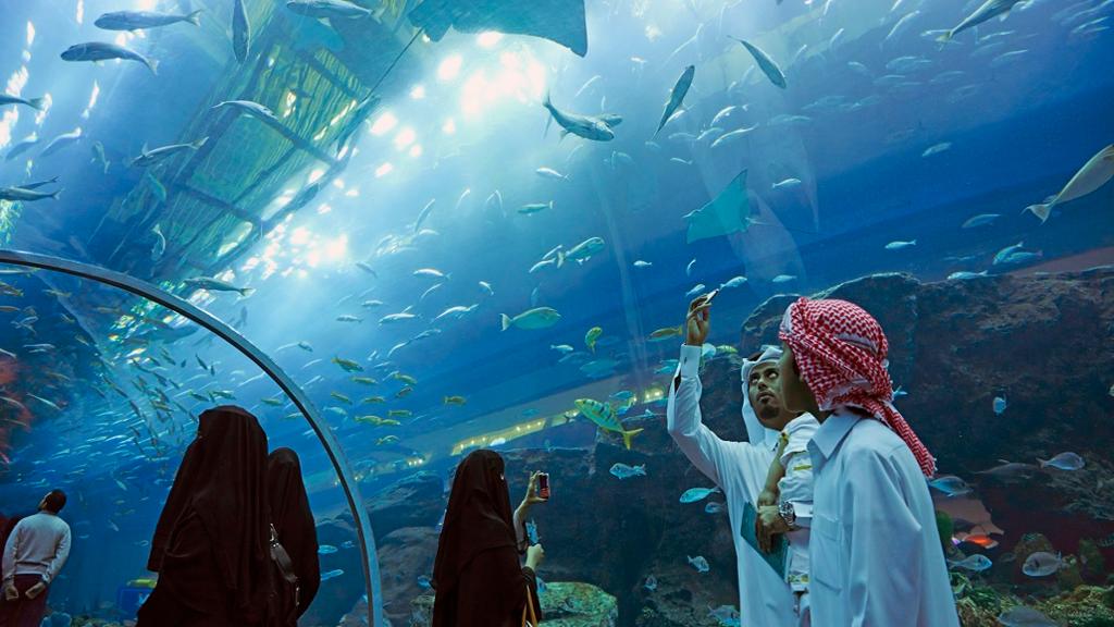 Dubai Mall Aquarium and Penguin Cove – Ticket with Sharing Transfers