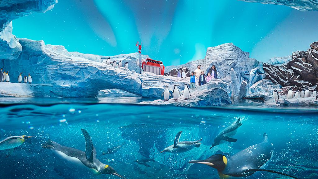 Abu Dhabi Mosque & Sea World Tour image 2
