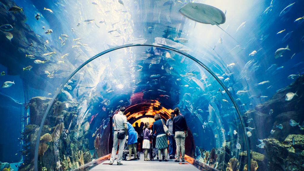 Dubai Mall Aquarium and Penguin Cove – Ticket with Sharing Transfers image 1