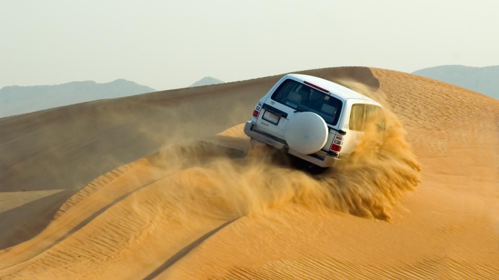 Desert Safari, Dune Bashing and BBQ Dinner - from Cruise Terminal image 3