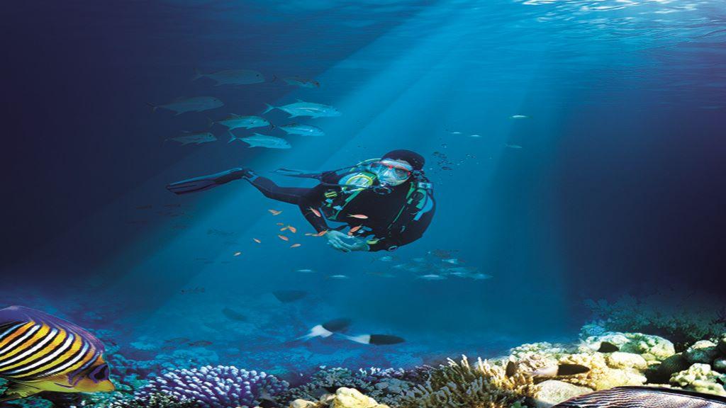 S.E.A. Aquarium