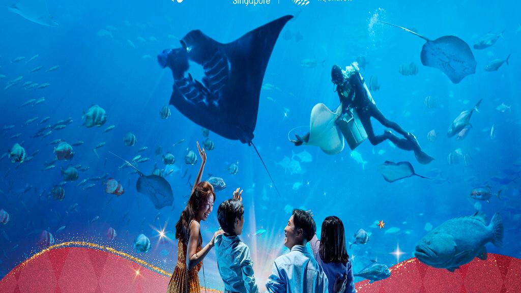 S.E.A. Aquarium image 1