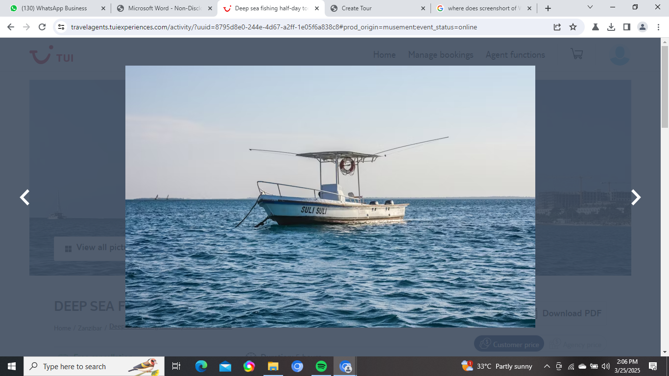 DEEP SEA FISHING HALF-DAY TOUR IN ZANZIBAR image 2