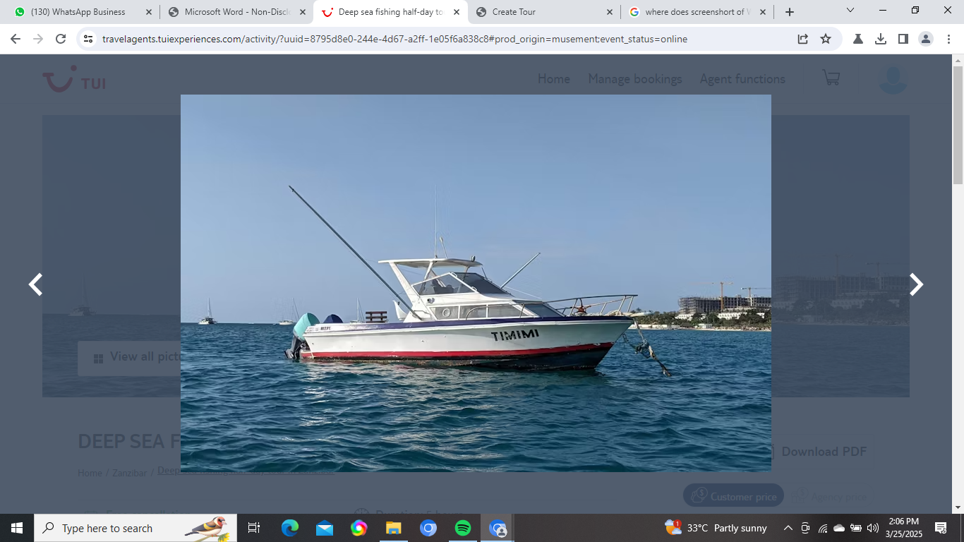 DEEP SEA FISHING HALF-DAY TOUR IN ZANZIBAR image 3