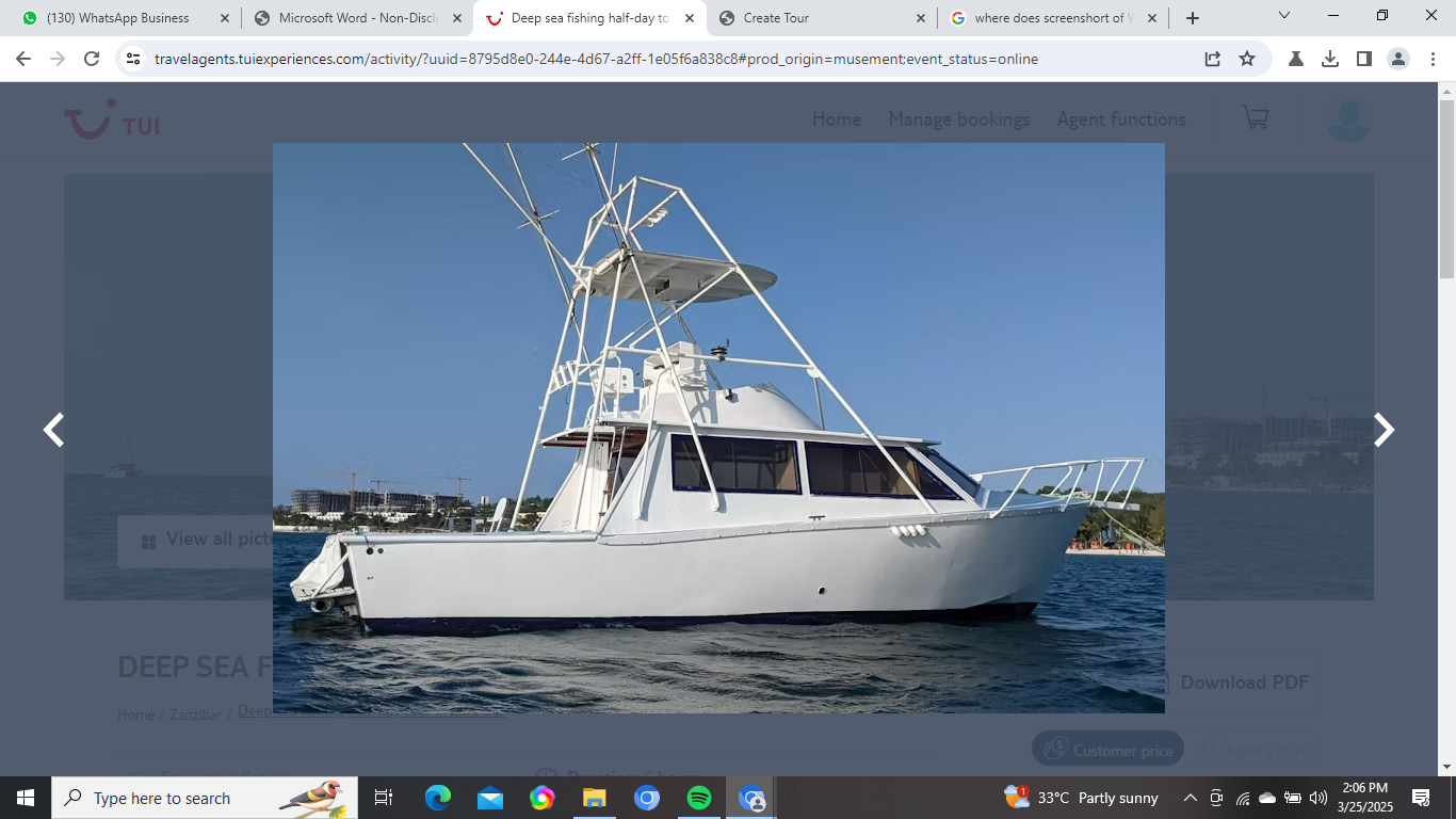 DEEP SEA FISHING HALF-DAY TOUR IN ZANZIBAR image 4