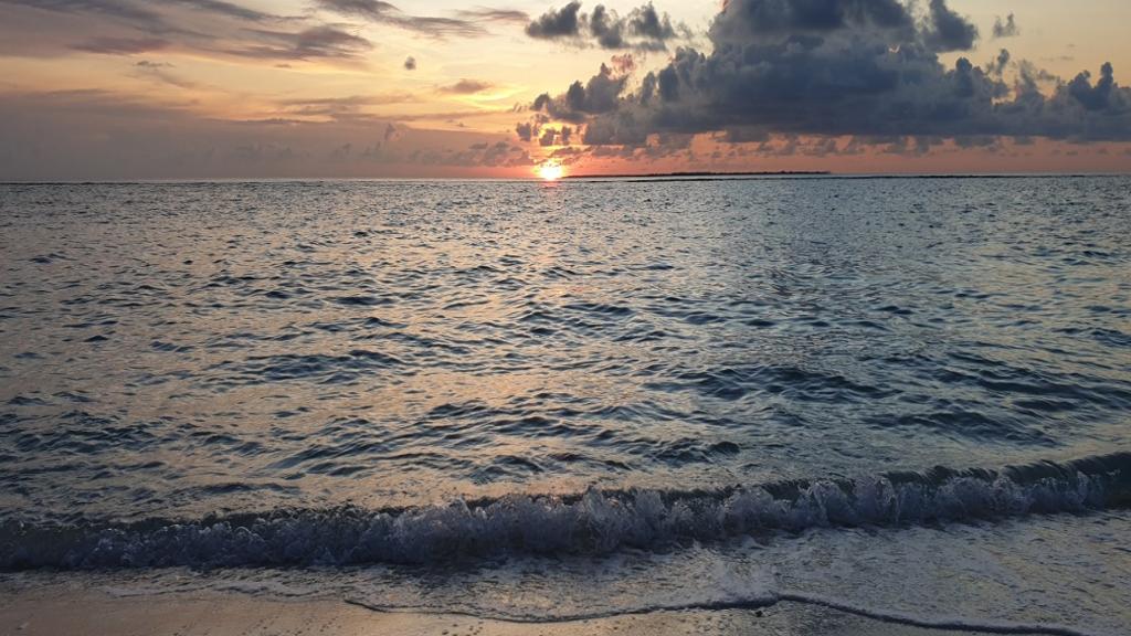 Sunset Dophin Cruise