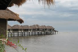 Island Below Sea Level: Sepang Gold Coast, Carey Island and Aborigine Village - Private Tour image 2