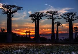 A BIG LOOP TO DISCOVER MADAGASCAR IN XXL VERSION