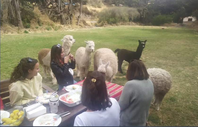 ACTIVE PATAGONIA