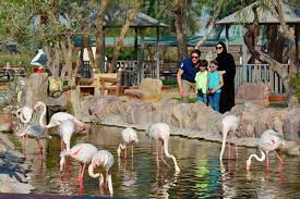Floral and Fauna trip in Bahrain from Manama