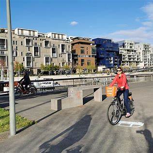 Guided tour in the Confluence district of Lyon image 4