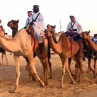 Bahrain full-day private tour